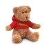 Teddybeer met sweatshirt